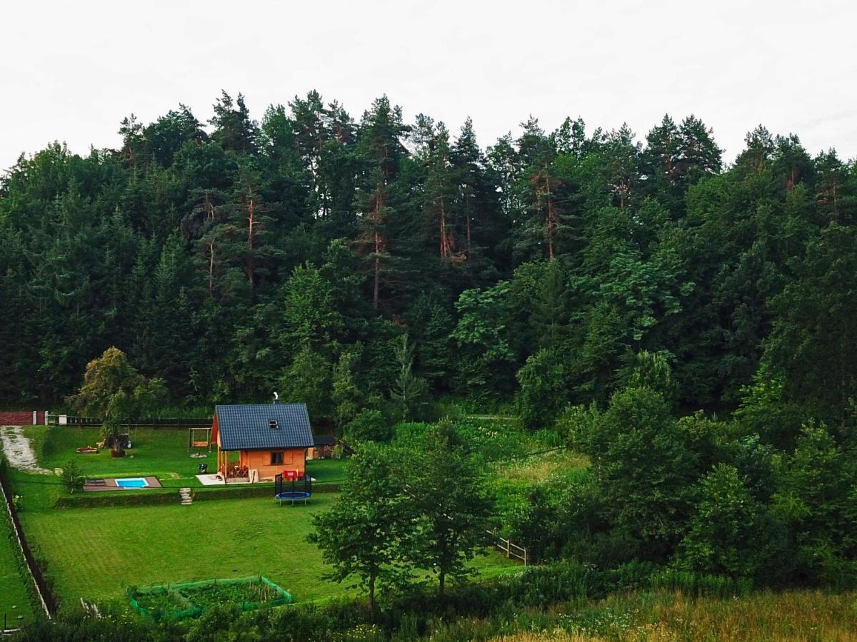 Domek Skowronek Z Basenem Lesko Exterior photo