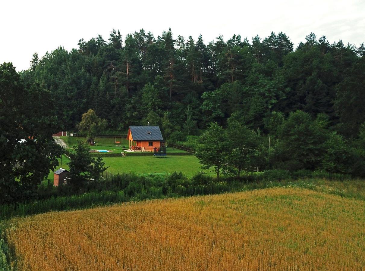 Domek Skowronek Z Basenem Lesko Exterior photo